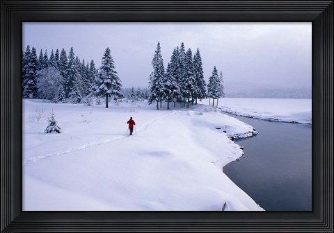 Framed Snowshoeing on the Shores of Second Connecticut Lake, Northern Forest, New Hampshire Print