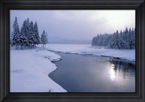 Framed Snow on the Shores of Second Connecticut Lake, Northern Forest, New Hampshire Print