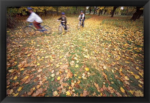 Framed Riding Bikes in Late Fall, New Hampshire Print