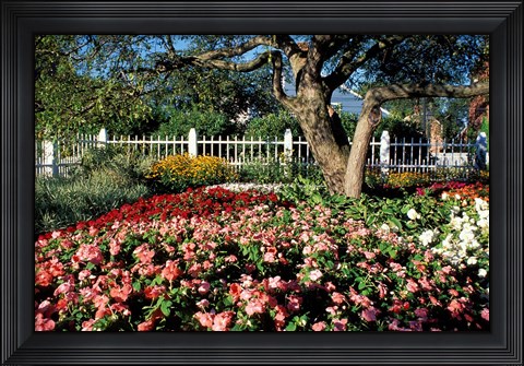 Framed Prescott Park, New Hampshire Print