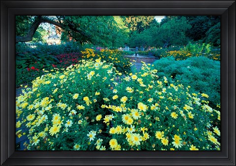 Framed Prescott Park Garden, New Hampshire Print