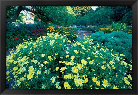 Framed Prescott Park Garden, New Hampshire Print