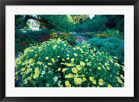 Framed Prescott Park Garden, New Hampshire Print