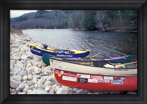 Framed Paddling the Pemigewasset River, White Mountains, New Hampshire Print