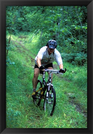 Framed Mountain Biking on Providence Pond Loop Trail, White Mountain National Forest, New Hampshire Print