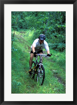 Framed Mountain Biking on Providence Pond Loop Trail, White Mountain National Forest, New Hampshire Print