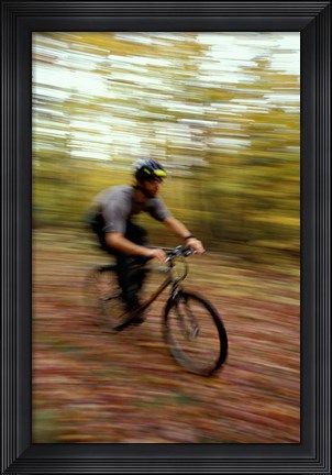 Framed Mountain Biking, Old Logging Road, New Hampshire Print