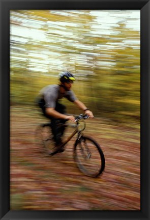 Framed Mountain Biking, Old Logging Road, New Hampshire Print