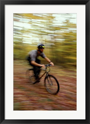 Framed Mountain Biking, Old Logging Road, New Hampshire Print