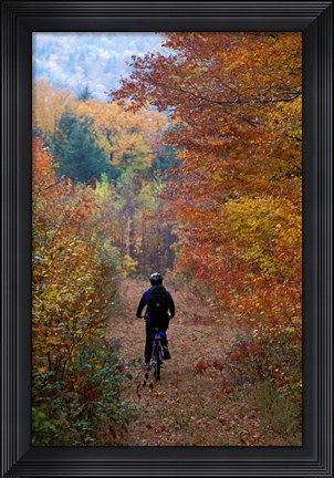 Framed Mountain Biking on Old Logging Road, New Hampshire Print
