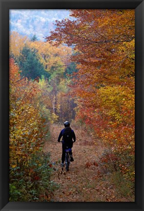 Framed Mountain Biking on Old Logging Road, New Hampshire Print