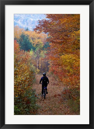 Framed Mountain Biking on Old Logging Road, New Hampshire Print