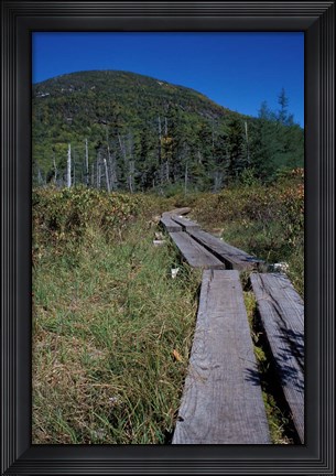 Framed Tamarack Bog Bridge on the Lonesome Lake Trail, New Hampshire Print