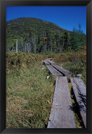 Framed Tamarack Bog Bridge on the Lonesome Lake Trail, New Hampshire Print