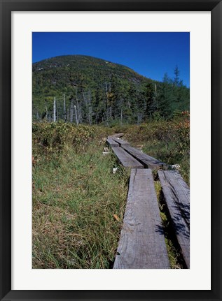 Framed Tamarack Bog Bridge on the Lonesome Lake Trail, New Hampshire Print