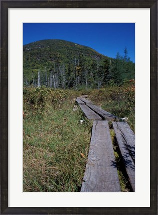 Framed Tamarack Bog Bridge on the Lonesome Lake Trail, New Hampshire Print