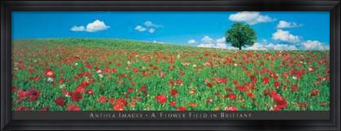 Framed Flower Field in Brittany Print