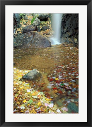Framed Pitcher Falls in White Mountains, New Hampshire Print