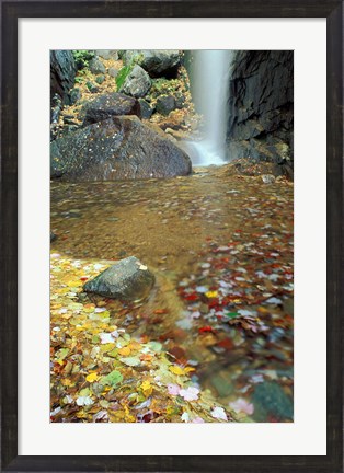 Framed Pitcher Falls in White Mountains, New Hampshire Print