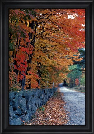 Framed Fall Colors in the White Mountains, New Hampshire Print