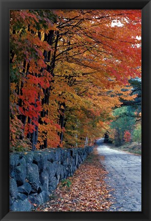 Framed Fall Colors in the White Mountains, New Hampshire Print