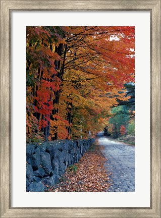 Framed Fall Colors in the White Mountains, New Hampshire Print