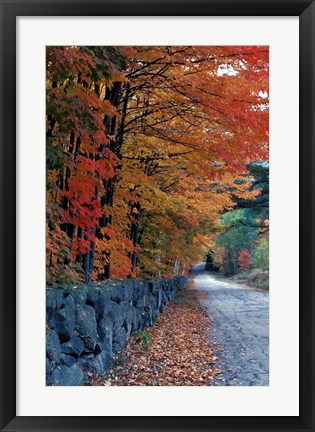 Framed Fall Colors in the White Mountains, New Hampshire Print