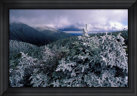 Framed Snow Coats the Boreal Forest on Mt Lafayette, White Mountains, New Hampshire Print