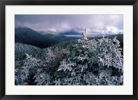 Framed Snow Coats the Boreal Forest on Mt Lafayette, White Mountains, New Hampshire Print