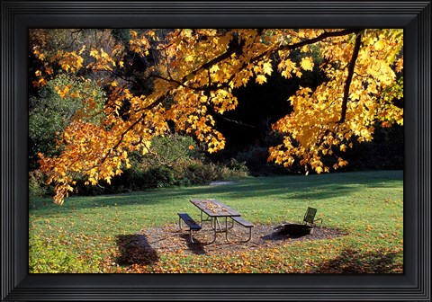 Framed Fall Foliage on Cohos Trail, Zealand Campground, Twin Mountain, New Hampshire Print