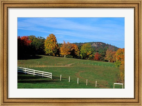Framed Horse Farm in New England, New Hampshire Print