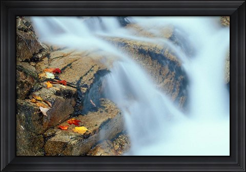 Framed Pearl Cascade on the Avalon Trail, New Hampshire Print