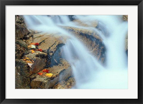 Framed Pearl Cascade on the Avalon Trail, New Hampshire Print