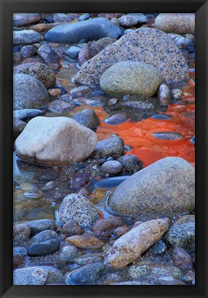 Framed Fall Colors Reflect in Saco River, New Hampshire Print