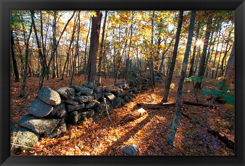 Framed Stone Wall, Nature Conservancy Land Along Crommett Creek, New Hampshire Print