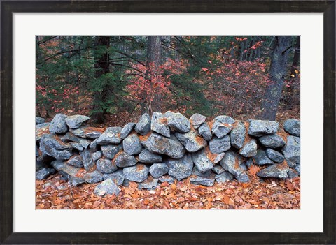 Framed Stone Wall next to Sheepboro Road, New Hampshire Print