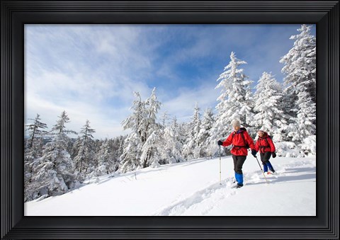 Framed Winter Hiking on Mount Cardigan, Clark Trail, Canaan, New Hampshire Print