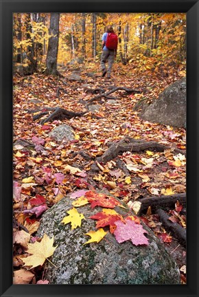 Framed Hiking Sugarloaf Trail, White Mountain National Forest, Twin Mountain, New Hampshire Print