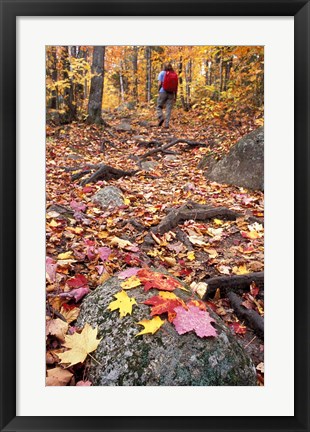 Framed Hiking Sugarloaf Trail, White Mountain National Forest, Twin Mountain, New Hampshire Print