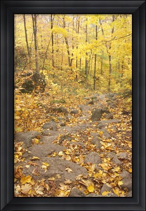 Framed Rock Stairs on the Sugarloaf Trail, White Mountain National Forest, New Hampshire Print
