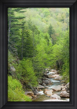 Framed Spring on the Pemigewasset River, Flume Gorge, Franconia Notch State Park, New Hampshire Print