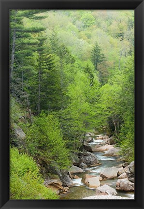 Framed Spring on the Pemigewasset River, Flume Gorge, Franconia Notch State Park, New Hampshire Print