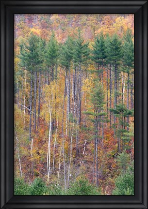 Framed White Mountains in Fall, New Hampshire Print
