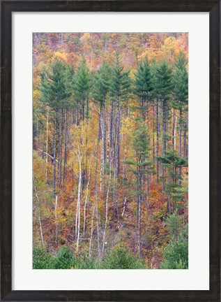 Framed White Mountains in Fall, New Hampshire Print