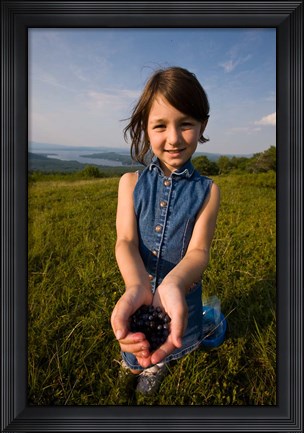 Framed Blueberries, Alton, New Hampshire Print
