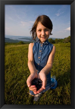 Framed Blueberries, Alton, New Hampshire Print