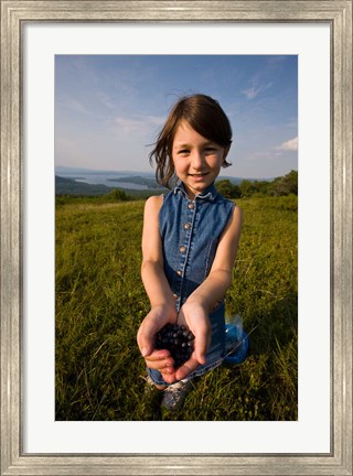 Framed Blueberries, Alton, New Hampshire Print