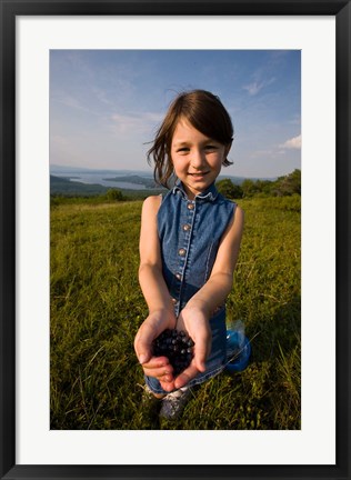 Framed Blueberries, Alton, New Hampshire Print