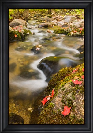 Framed stream in fall, Grafton, New Hampshire Print