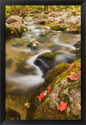 Framed stream in fall, Grafton, New Hampshire Print